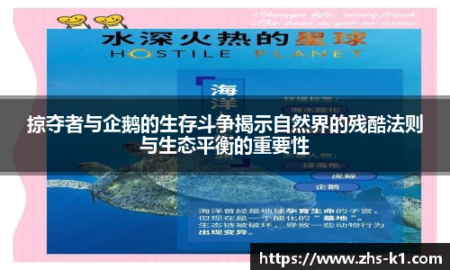 k1体育3915十年品牌